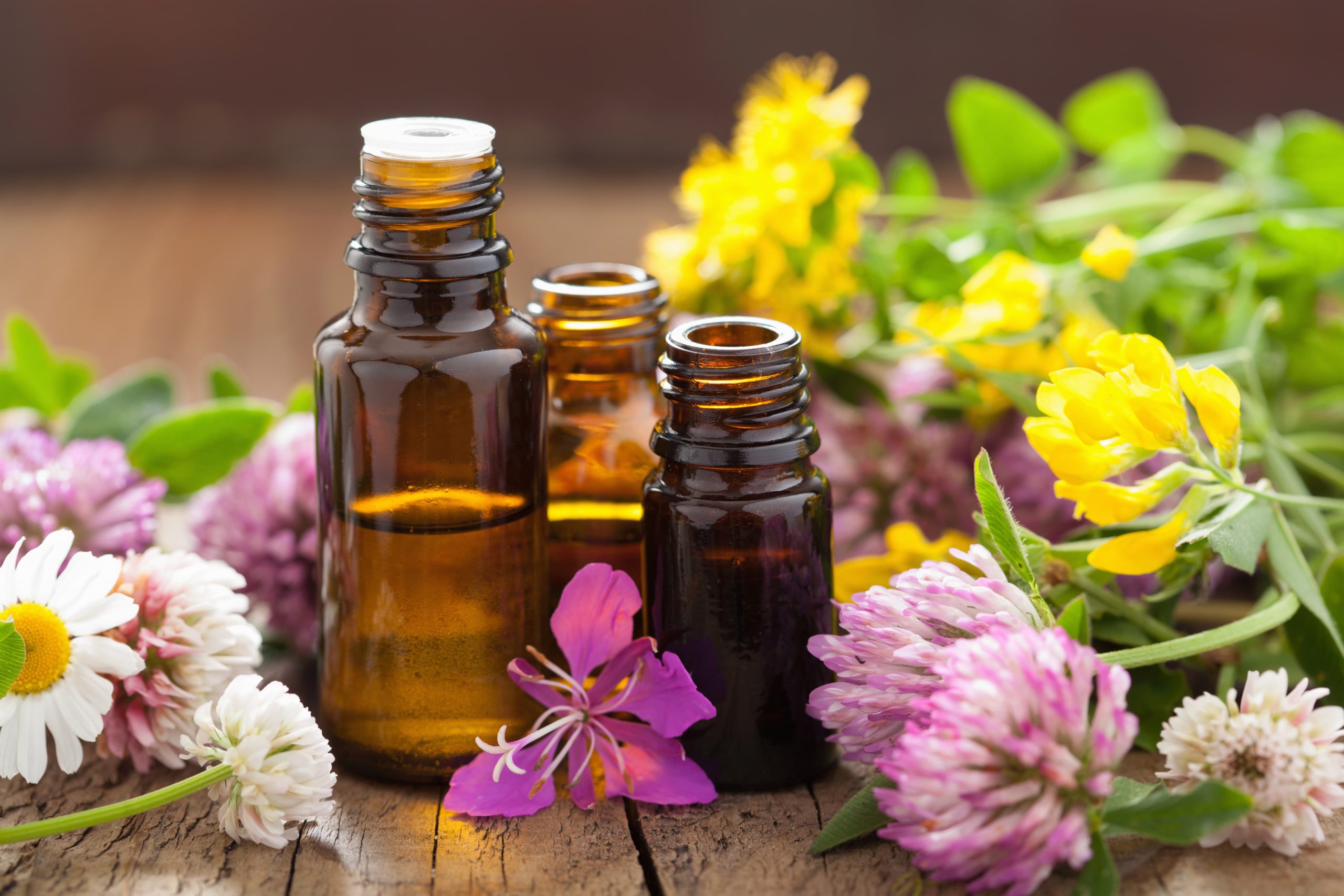 Read more about the article How to Know if an Essential Oil is “Expired” (Oxidized)